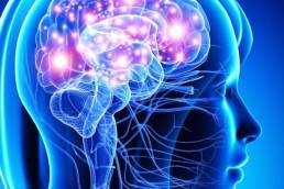 Imagen para conocer qué es la neurocirugía