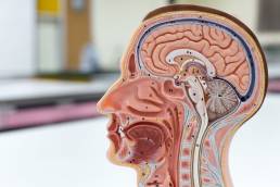 adenoma de hipófisis